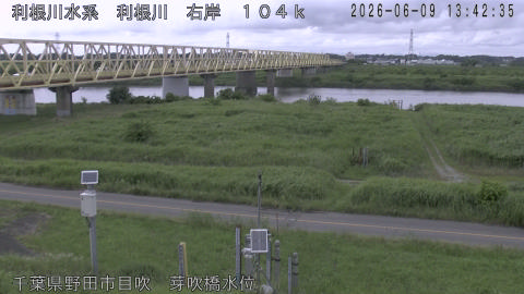 tonme2026060914_image