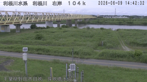 tonme2026060915_image