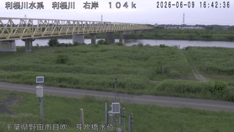 tonme2026060917_image