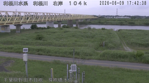 tonme2026060918_image