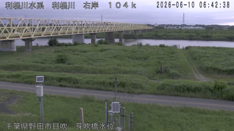 tonme2026061007_image