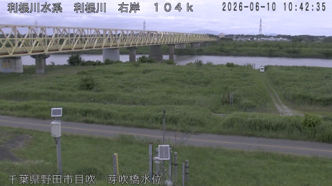 tonme2026061011_image