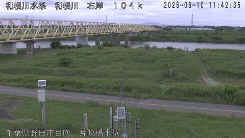 tonme2026061012_image