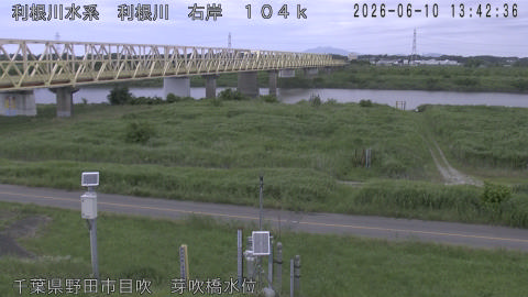 tonme2026061014_image