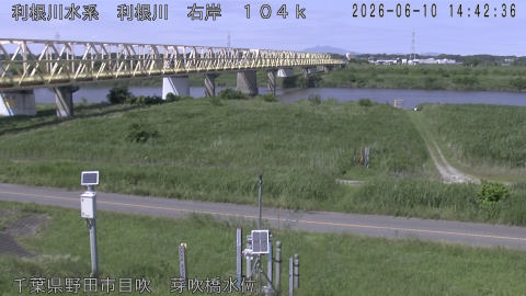 tonme2026061015_image