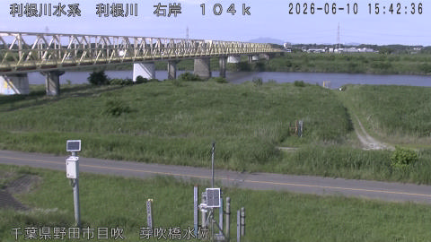 tonme2026061016_image