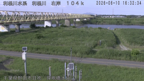 tonme2026061017_image