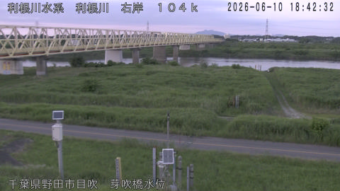 tonme2026061019_image