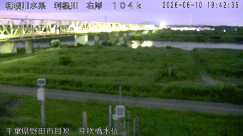 tonme2026061020_image