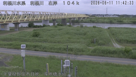 tonme2026061112_image