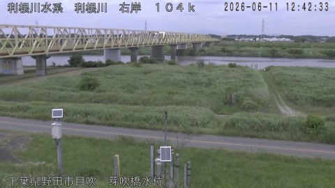 tonme2026061113_image