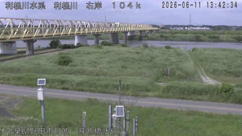 tonme2026061114_image