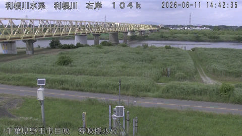 tonme2026061115_image