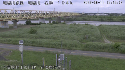 tonme2026061116_image