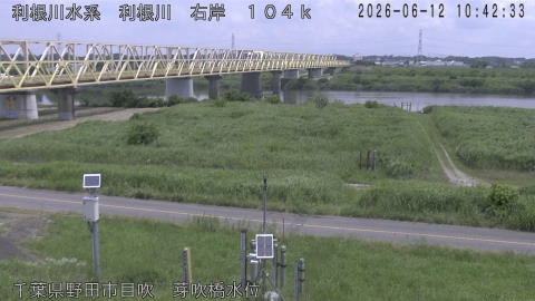 tonme2026061211_image