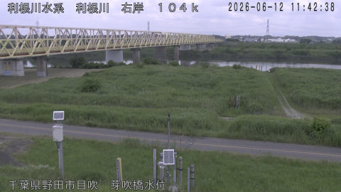 tonme2026061212_image