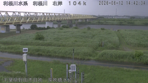 tonme2026061215_image