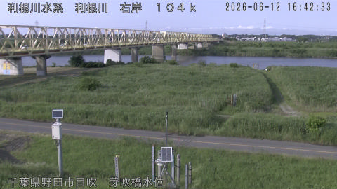 tonme2026061217_image