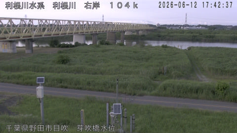 tonme2026061218_image