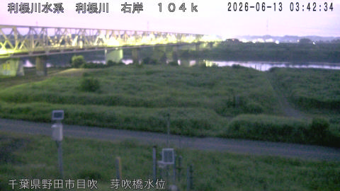 tonme2026061304_image