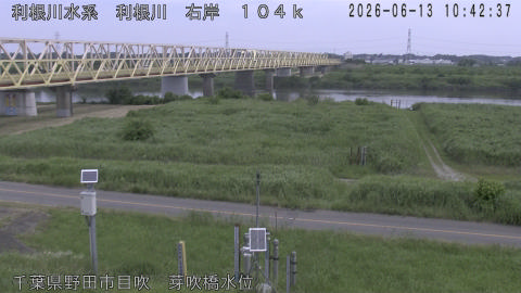 tonme2026061311_image