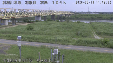 tonme2026061312_image