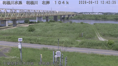 tonme2026061313_image