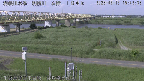 tonme2026061316_image