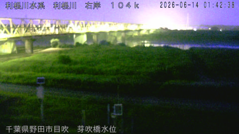 tonme2026061402_image