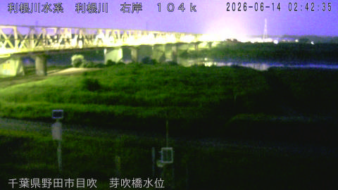 tonme2026061403_image
