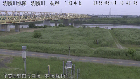 tonme2026061411_image