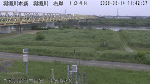 tonme2026061412_image