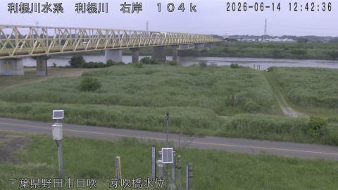 tonme2026061413_image