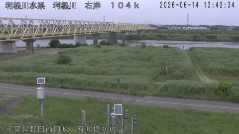 tonme2026061414_image