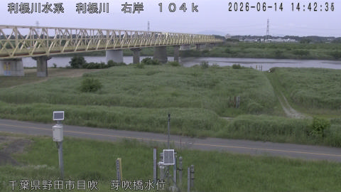 tonme2026061415_image