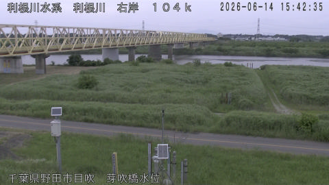 tonme2026061416_image