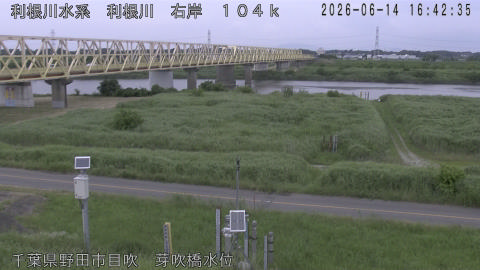 tonme2026061417_image