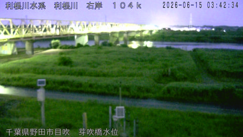 tonme2026061504_image