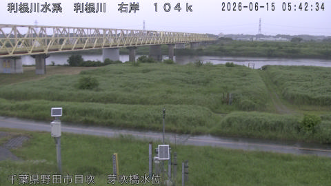 tonme2026061506_image