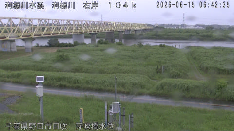 tonme2026061507_image
