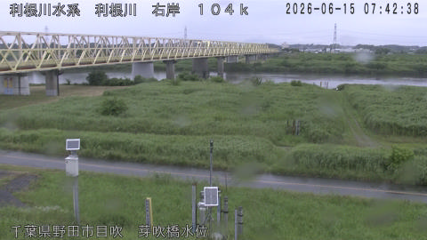 tonme2026061508_image
