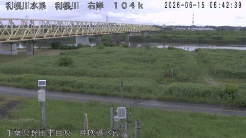 tonme2026061509_image