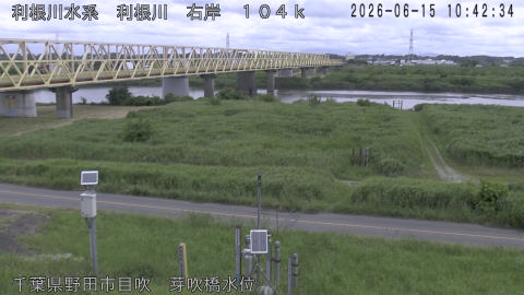 tonme2026061511_image
