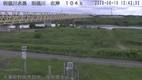 tonme2026061513_image