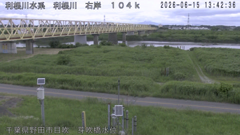 tonme2026061514_image
