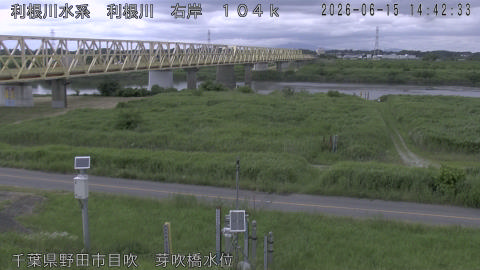 tonme2026061515_image