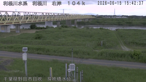 tonme2026061516_image
