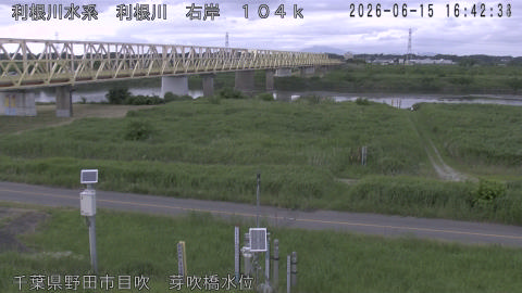 tonme2026061517_image