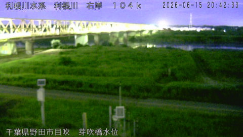 tonme2026061521_image