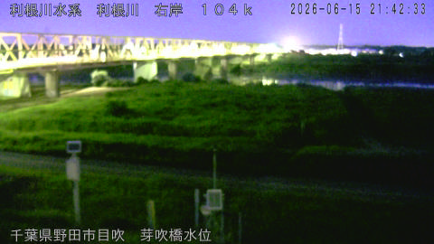 tonme2026061522_image